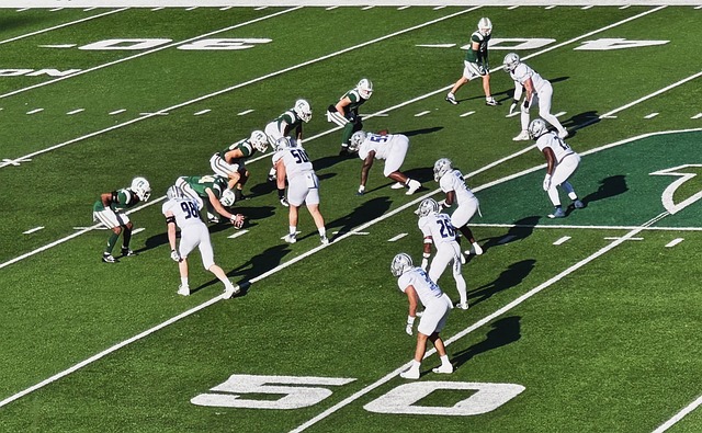 的沉着与冷 的沉着与冷