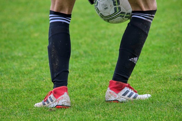 韦霍斯特 韦霍斯特