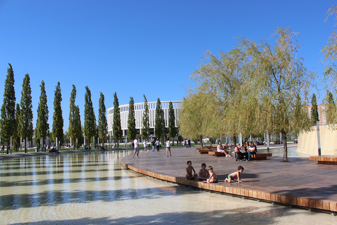 球迷购票的 球迷购票的