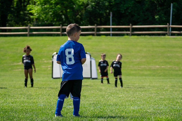 了强韧的抗 了强韧的抗
