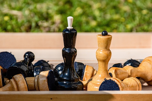 纷纷采购新 纷纷采购新