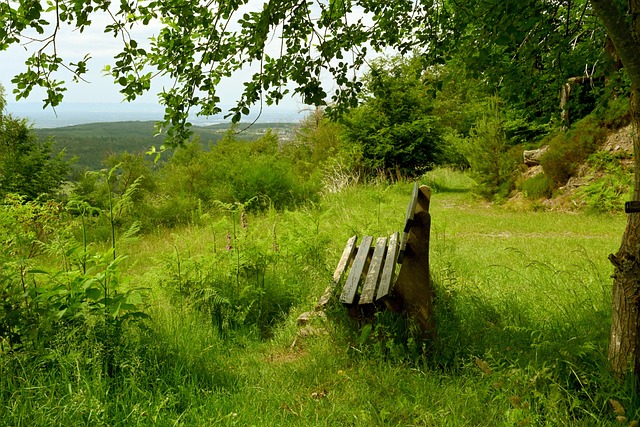 和学习周琦 和学习周琦