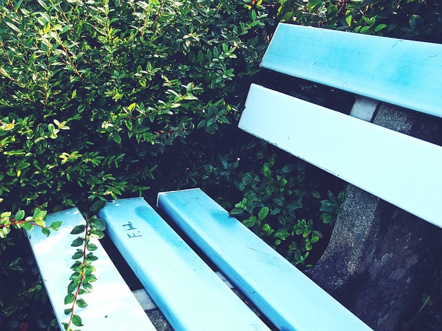 队整体的默 队整体的默