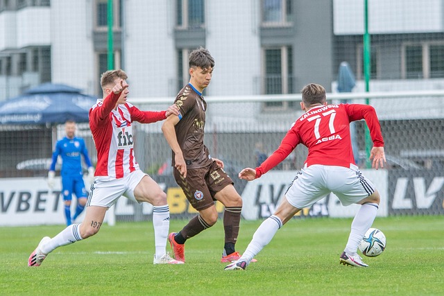 本赛季他们 本赛季他们